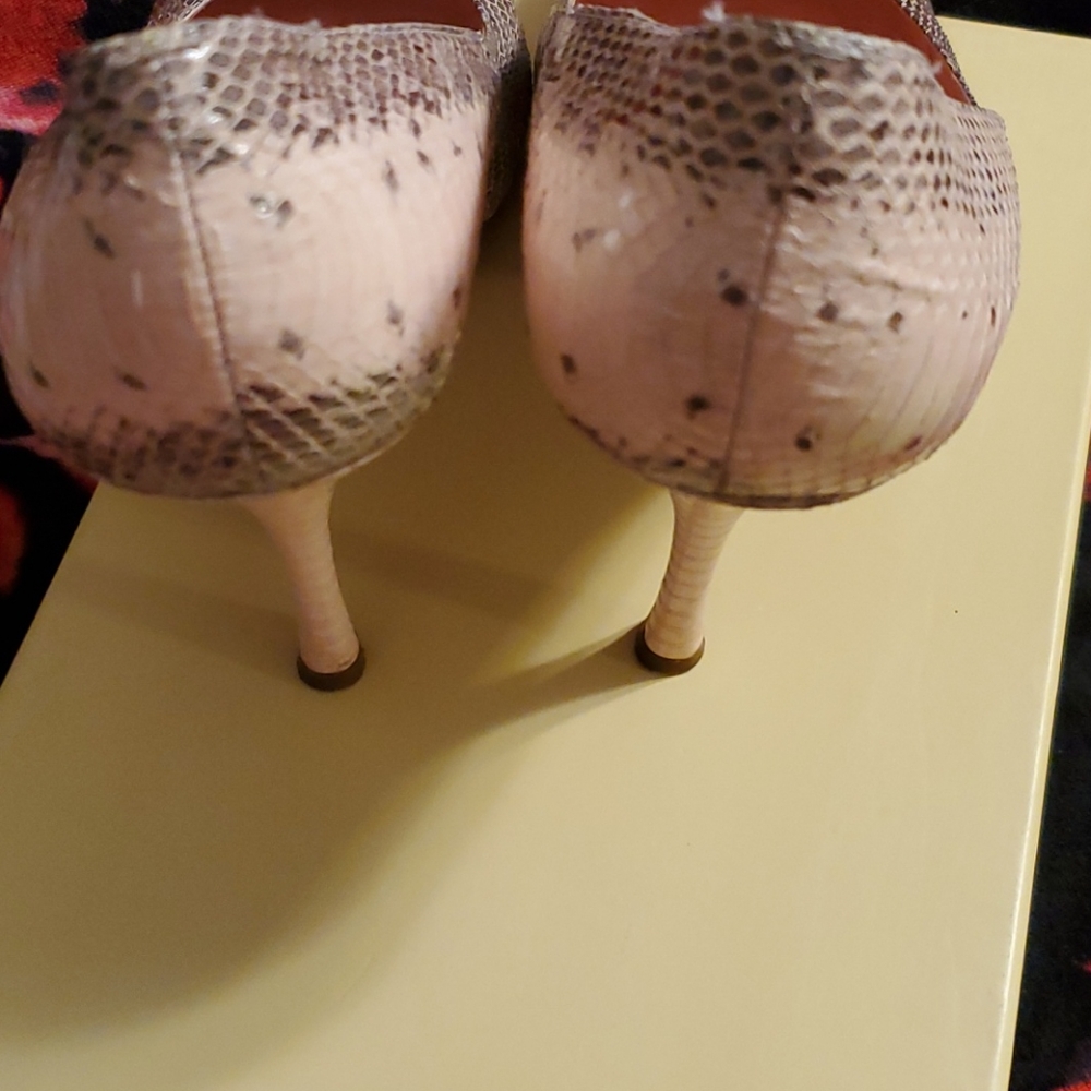 Max Studio Real Snake - Picture 2 of 5